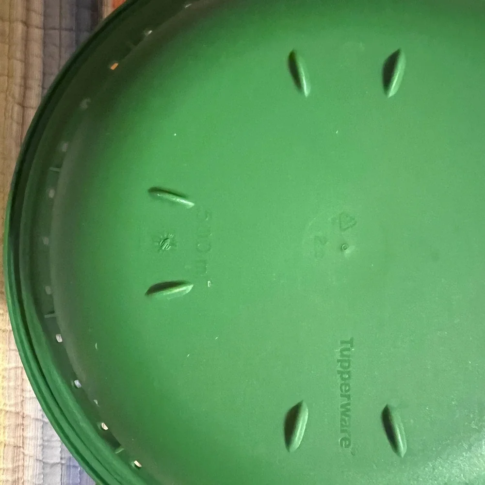 Tupperware MicroGourmet Steamer Microwave Cookware Set Green‎ Lime Colander